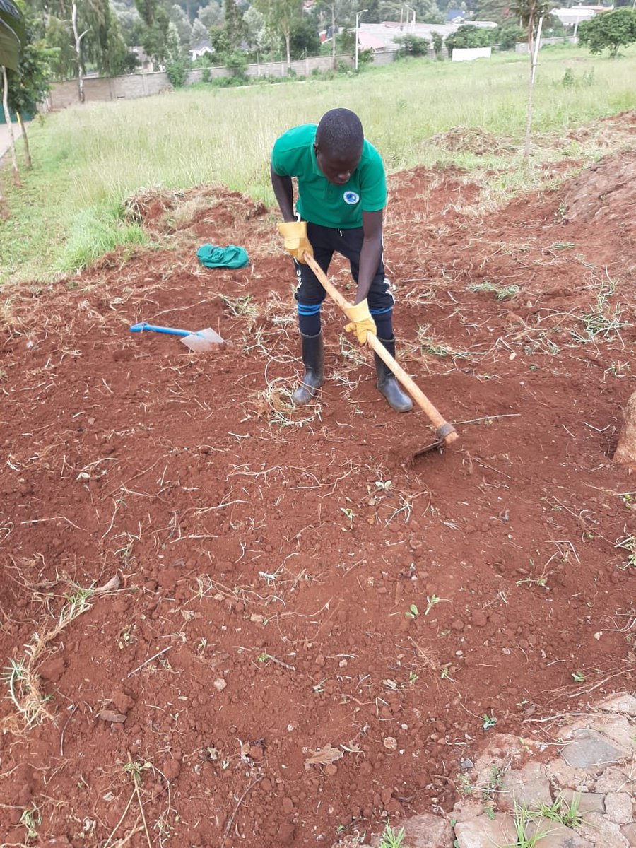 SaafiCleaning's tweet photo. The solid work of @SaafiCleaning Co. of landscape planning &amp; beautifying IGAD offices in Nairobi. Pictures below shows the work being done by Saafi trained worker from the scratch to where the project is now. 

If you need plans for your environment contact Saafi ~ 0729 858 531 https://t.co/e9XoQxfX4e