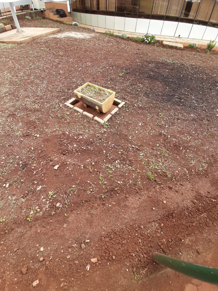 SaafiCleaning's tweet photo. The solid work of @SaafiCleaning Co. of landscape planning &amp; beautifying IGAD offices in Nairobi. Pictures below shows the work being done by Saafi trained worker from the scratch to where the project is now. 

If you need plans for your environment contact Saafi ~ 0729 858 531 https://t.co/e9XoQxfX4e