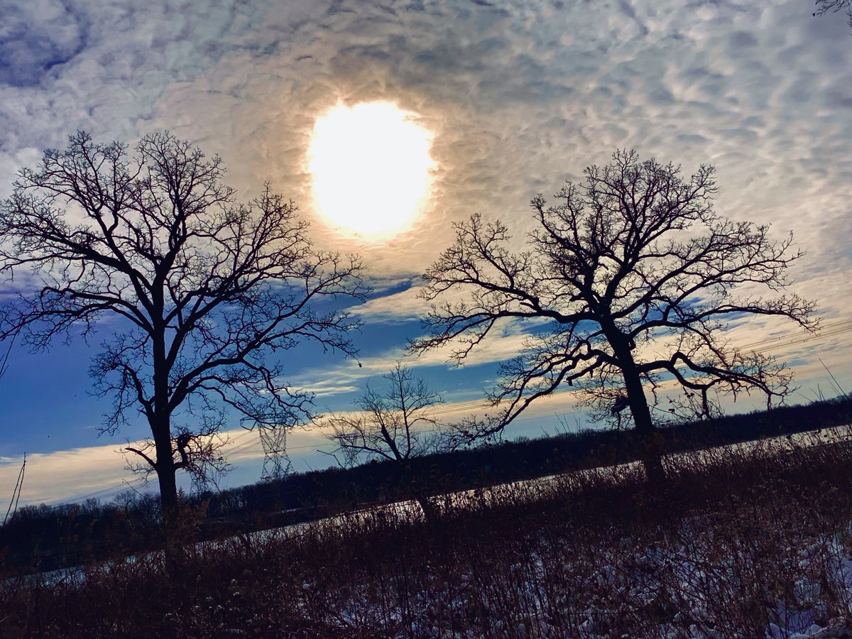 Great composition by Frankie B.! Art is visual communication- just like we edit and refine our writing, artists do the same. I encourage you to consider if the images/photos you post are clearly communicating the message you are trying to send.