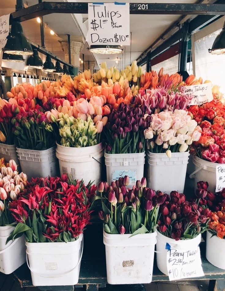 modadechicas3's tweet photo. 🌺 https://t.co/LyfalDwsDR