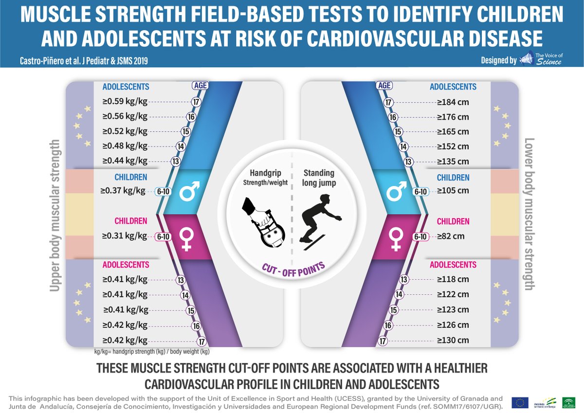🆕📢🇬🇧USEFUL INFORMATION FOR YOUR PHYSICAL EDUCATION CLASS 

🔷Muscle strength field-based tests to identify children and adolescents at risk of cardiovascular disease 🧒🏽🧑🏻

🔗 linkinghub.elsevier.com/retrieve/pii/S…
🔗jpeds.com/article/S0022-…

#infographics