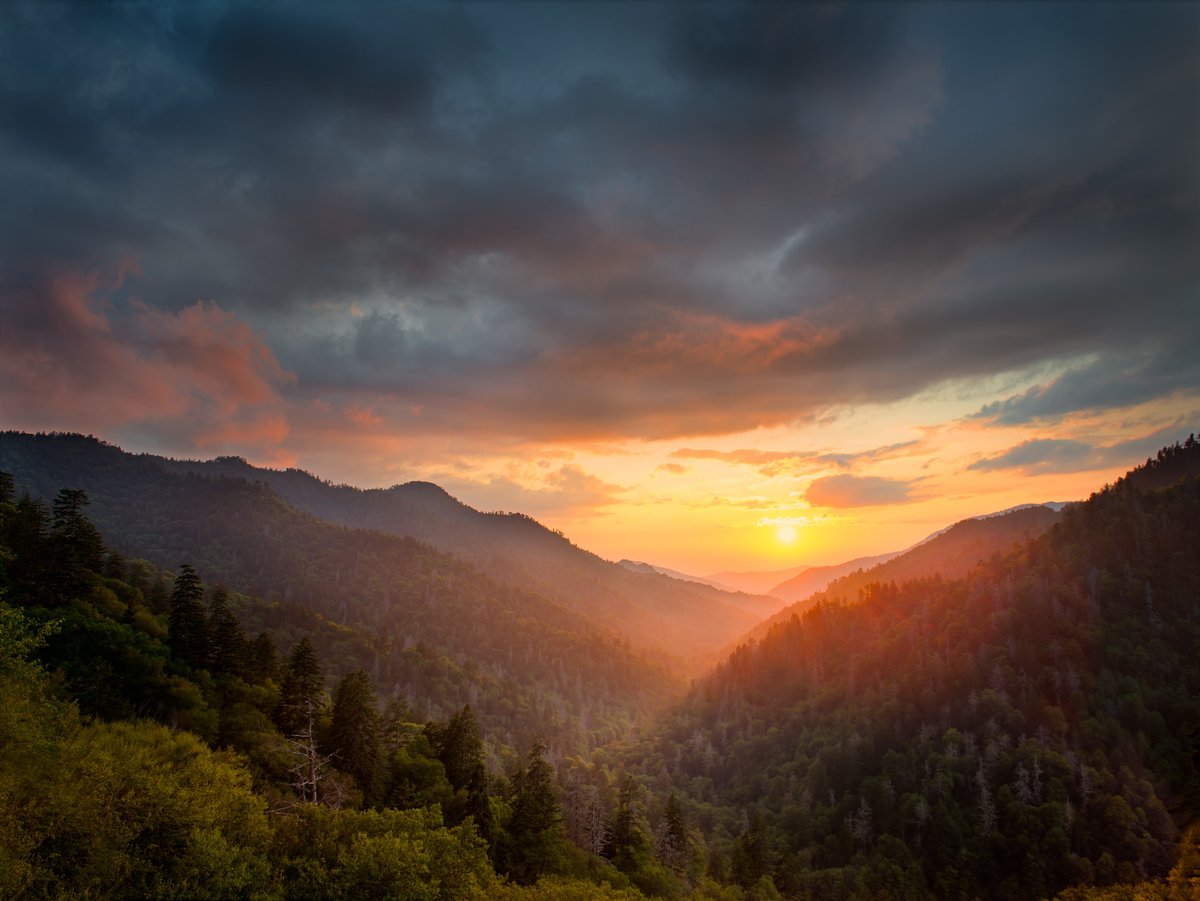 The Great Smoky Mountains National Park is phasing its reopening! 

Click here to get your free guide on what to see and do>> travelswithbibi.com/2020/05/great-…

#hiking #camping #haynow #backpacking #naturedrives #wildlifeviewing #gsmnp #appalachiantrail #blueridgeparkway #bibisadventures