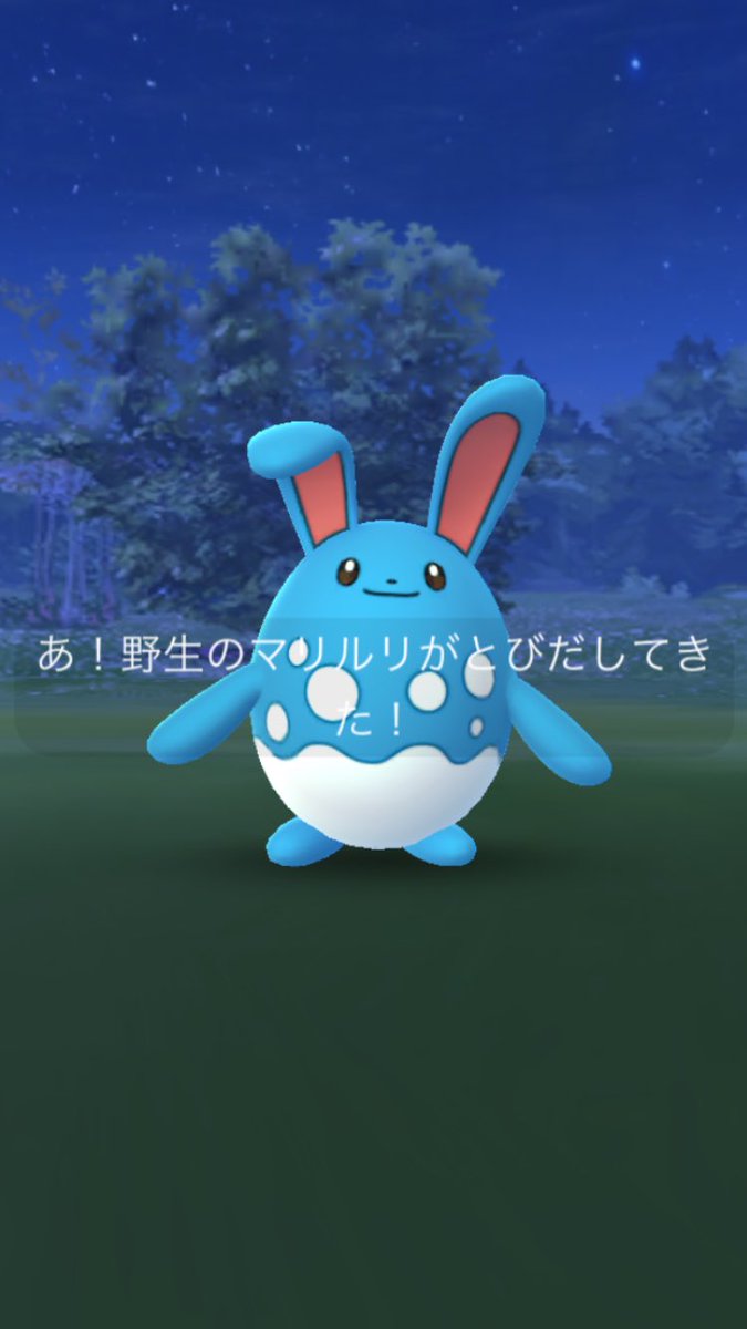 マリルリ Twitter Search