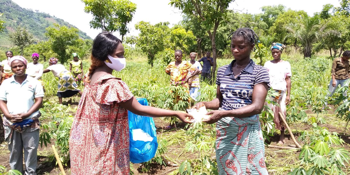 TogoWep's tweet photo. Nous sommes soucieux de nos femmes rurales, ce matin, nous leur venons avec nos cache-nez afin de les protéger contre le #COVIDー19. #weptogo #femmes #climat #environnement #agroecologie https://t.co/4Gng5SfPAE