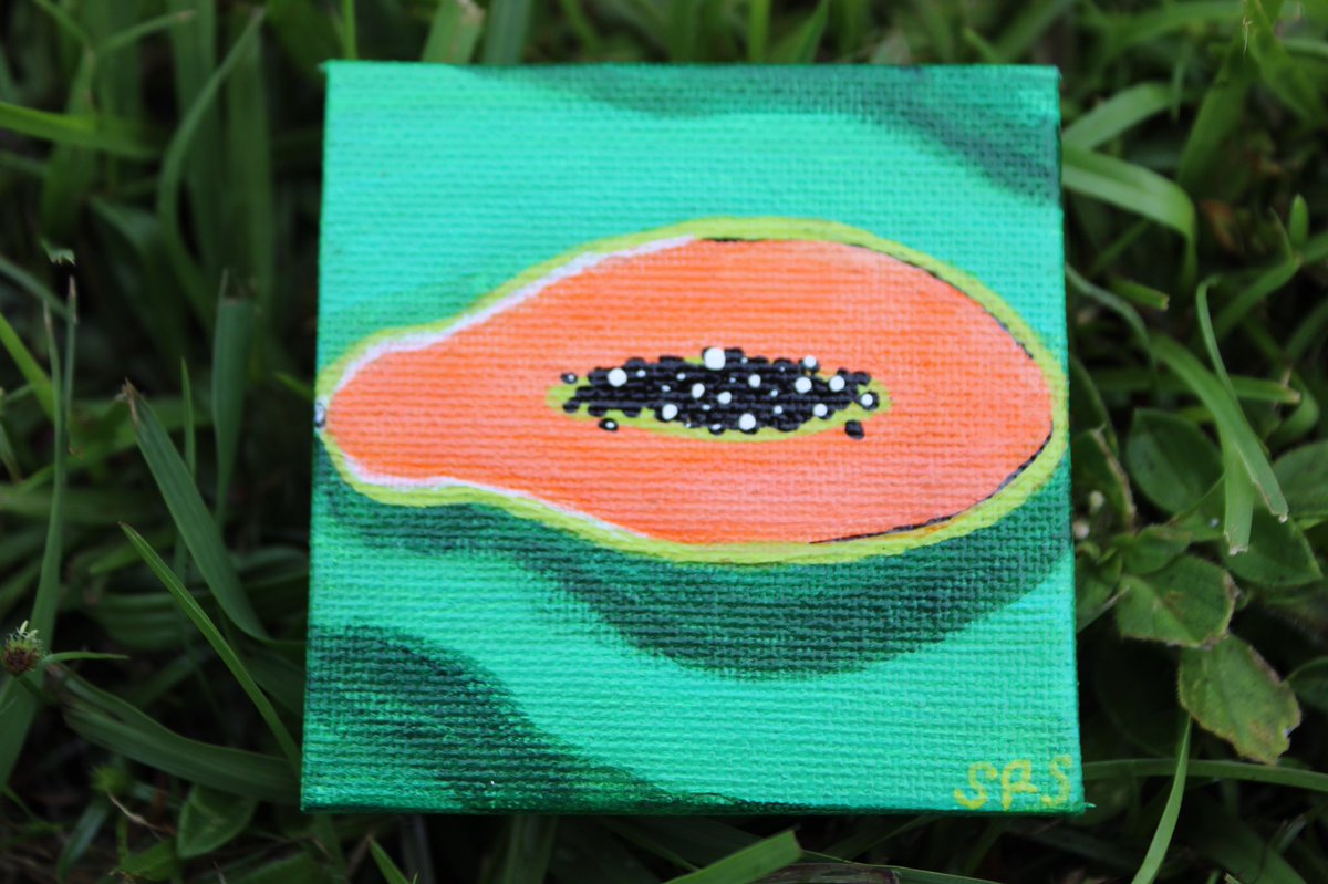 SierraRSons's tweet photo. Tropical Canvas Magnets available in my shop!!🍍🏝
https://t.co/Xye9pdL1Ob https://t.co/pb8zBvwq4N