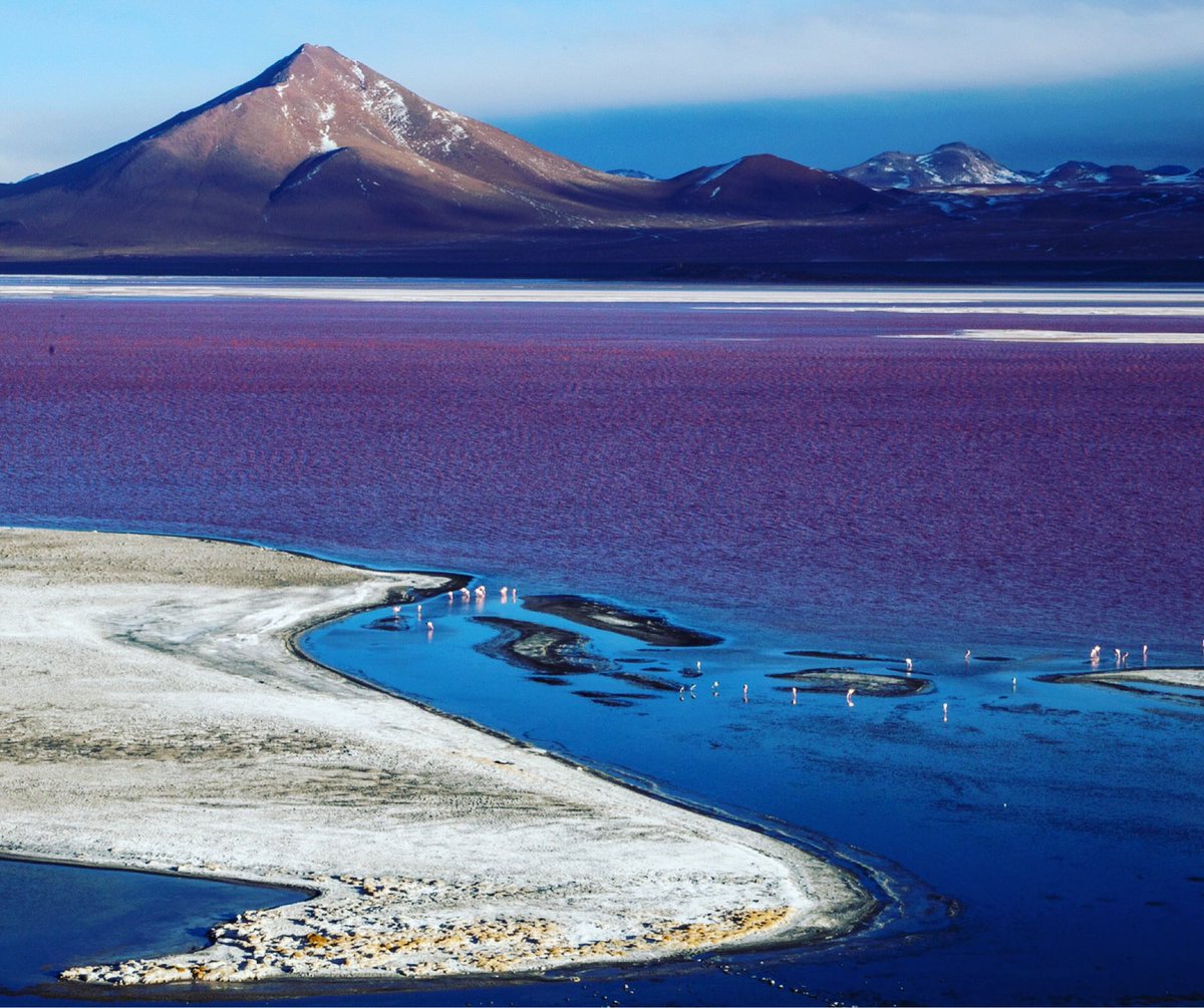 AndeConsultants's tweet photo. Laguna Colorada - #uyuni - #bolivia A scenic wonder Do you know why this landscape of the Potosi altiplano displays such spectacular colors?
leave me in the comment. why? https://t.co/eqP0Feprd8
#lagunasantiplanicas #lagunasaltiplanicas #andeconsultatns #viajesyturismo #viajes https://t.co/dJImcxKybB
