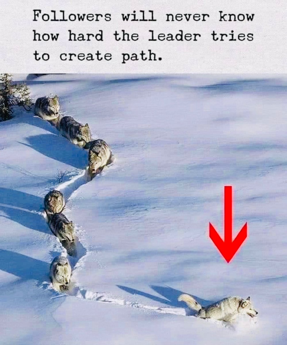 ddhorror's tweet photo. So true https://t.co/xvr5ZVSlCT