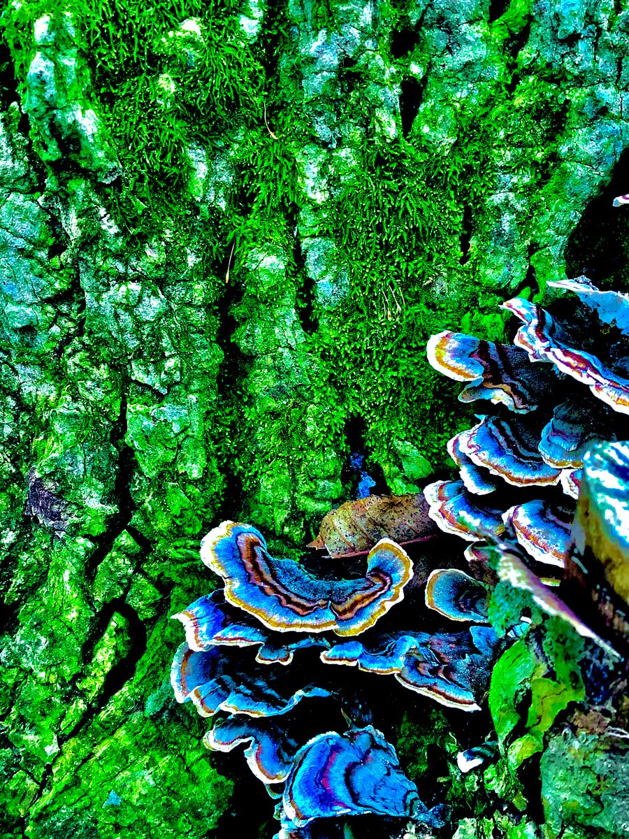 Great use of color to emphasize texture in this shot by Johnny P.