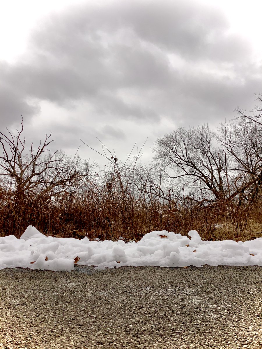 In your opinion, what is the mood of Jillian R.'s photograph?