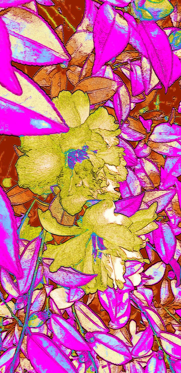 artifyvibes's tweet photo. My new #fabric #designing 
#fabric #designing #designs #designing #textile #fabricdesign #textiledesign #ArtistOnTwitter #artistic #classicdesign #fabricdesigner #textiledesigning #handcrafted  #patterns #fashion #newpatterns #design #fashionable #fineart #art #artsy @sayedsdt https://t.co/RW35MOH9XH
