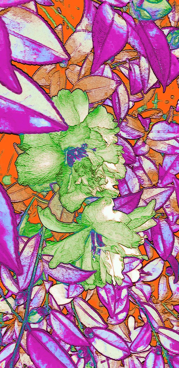 artifyvibes's tweet photo. My new #fabric #designing 
#fabric #designing #designs #designing #textile #fabricdesign #textiledesign #ArtistOnTwitter #artistic #classicdesign #fabricdesigner #textiledesigning #handcrafted  #patterns #fashion #newpatterns #design #fashionable #fineart #art #artsy @sayedsdt https://t.co/RW35MOH9XH