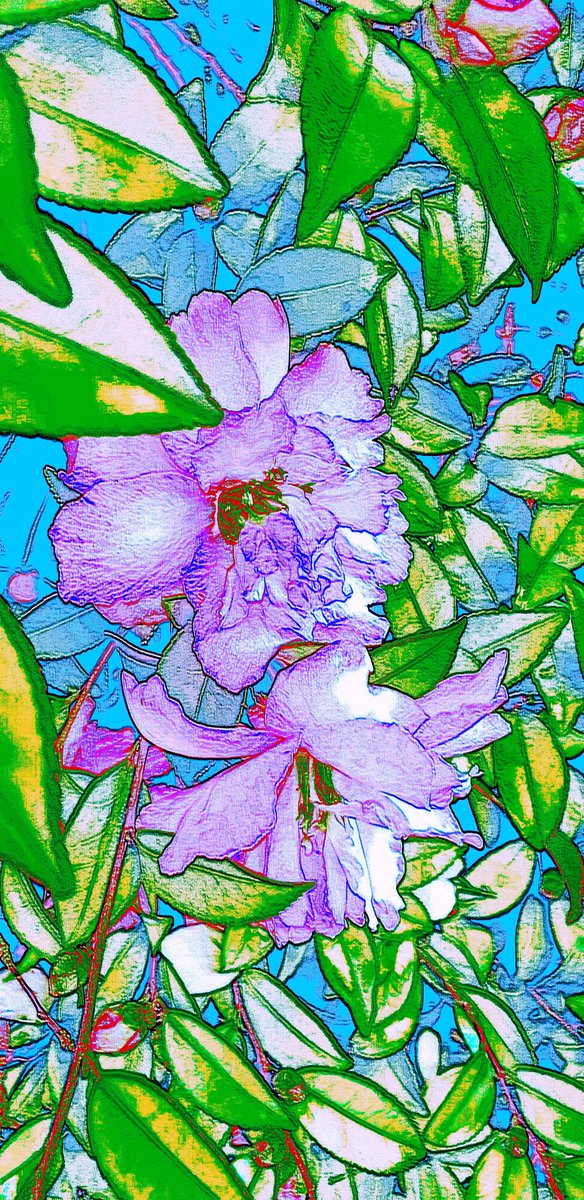 artifyvibes's tweet photo. My new #fabric #designing 
#fabric #designing #designs #designing #textile #fabricdesign #textiledesign #ArtistOnTwitter #artistic #classicdesign #fabricdesigner #textiledesigning #handcrafted  #patterns #fashion #newpatterns #design #fashionable #fineart #art #artsy @sayedsdt https://t.co/RW35MOH9XH