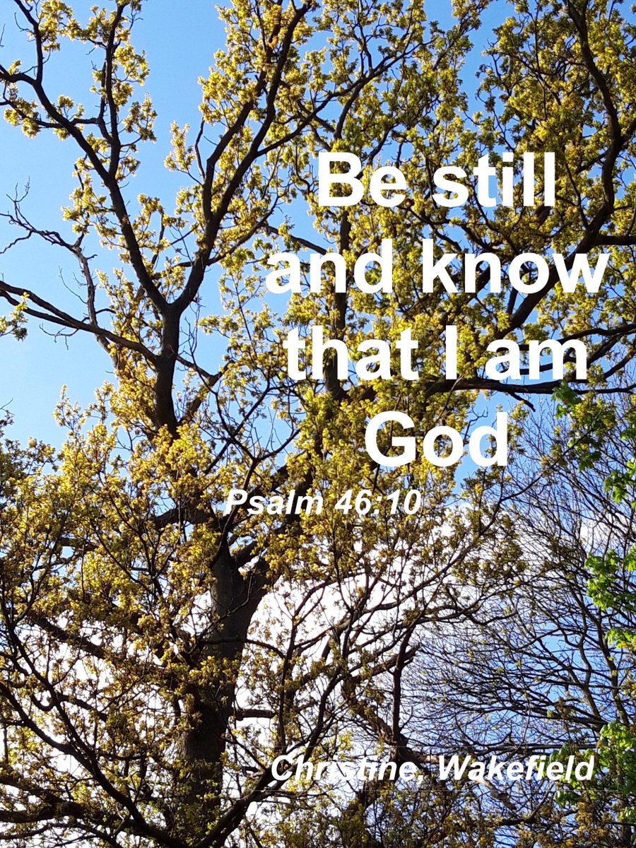 God Who Speaks Leeds (@godspeaksleeds) on Twitter photo Window on the Word #17: Christine's "Window" reminds us that God's Word comes to us through Scripture, but also through stillness and silence (see 1 Kings 19:11-12). <a href="/LeedsDYS/">Leeds Diocesan Youth Service</a> <a href="/CatholicEdLeeds/">Vicariate for Education - Diocese of Leeds</a> <a href="/catholicEW/">Catholic Church</a> Window on the Word #17: Christine's "Window" reminds us that God's Word comes to us through Scripture, but also through stillness and silence (see 1 Kings 19:11-12). <a href="/LeedsDYS/">Leeds Diocesan Youth Service</a> <a href="/CatholicEdLeeds/">Vicariate for Education - Diocese of Leeds</a> <a href="/catholicEW/">Catholic Church</a>