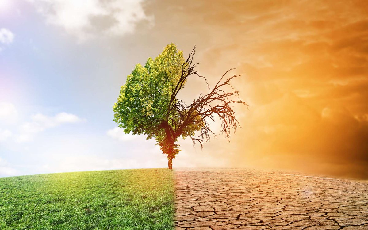 LegalFlash's tweet photo. Création de la Commission nationale des changements climatiques et de la biodiversité https://t.co/pdJw6Nd5YJ https://t.co/p0M9RWHngv