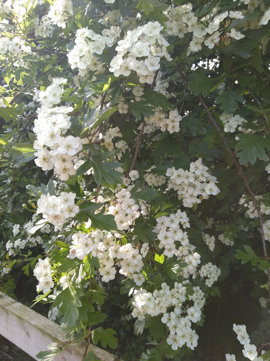 Travelling Science tweet media