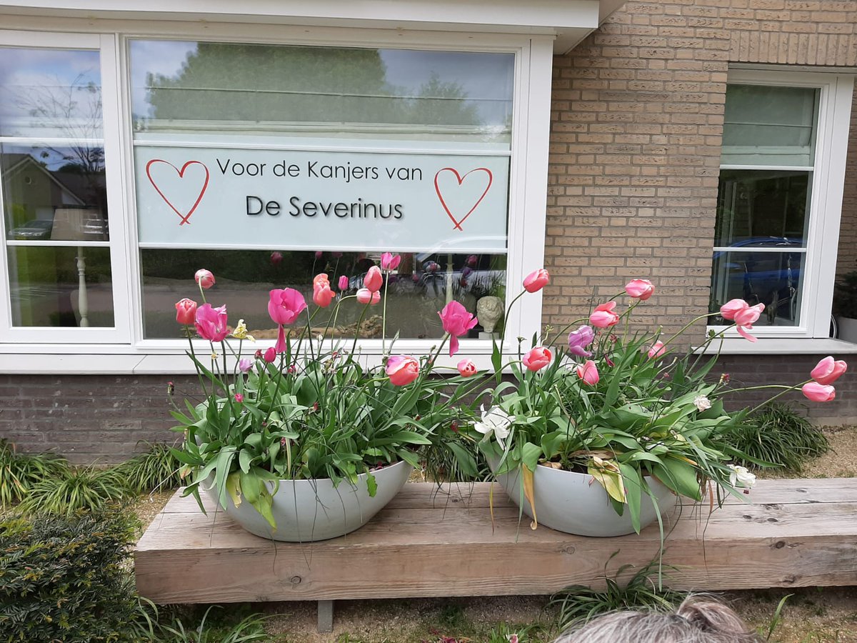 Severinus tweet media