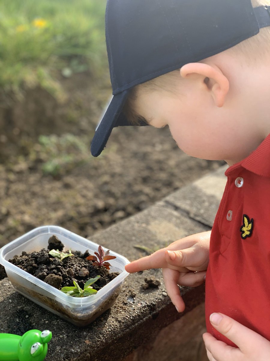 mooncat3690's tweet photo. Cole from ELC enjoying the lovely weather! #adventuresinthewoods #pickingflowers #lookingforbugs @LanarkPrimary https://t.co/6fMox3bZET