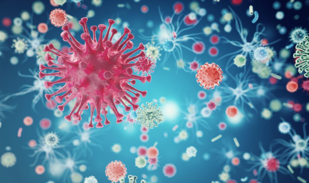 MetabolicEnergy's tweet photo. The Importance Of The Virome For Health. The Unseen Part Of Viruses. - https://t.co/rx5COKbaAV https://t.co/nJNy7U6nmJ