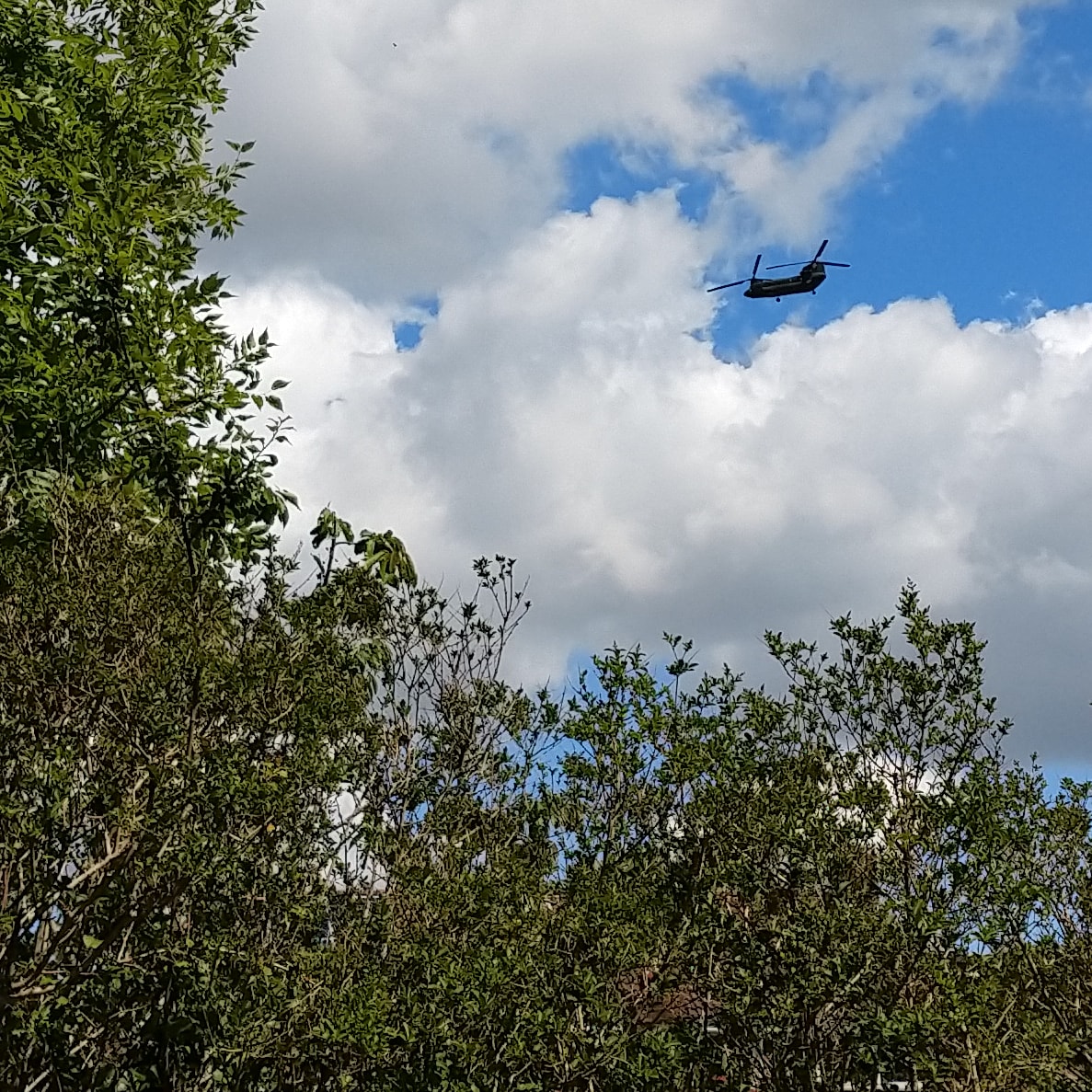 Het is toch een machtig machine hé 🥰 als ik ooit nog eens ergens in mee zou willen..... #chinook #vlissingen