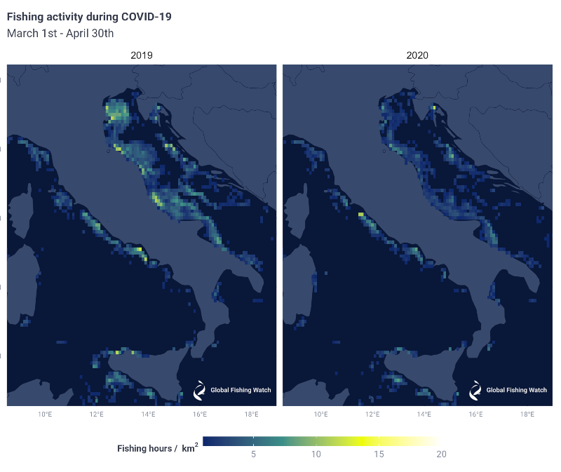 Global Fishing Watch tweet media