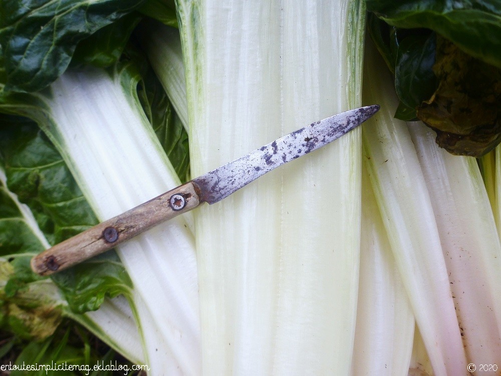 SimpliciteMAG's tweet image. 🥬Les #blettes au #potager ont beaucoup donné alors les recettes s&apos;enchainent🍅Les côtes à la Provençale parfumées à la farigoulette sont toujours un régal😋Vous pouvez les retrouver sur le blog👉urlpetite.fr/zkg #recettefacile #tomates #olives #cotesdeblettes #Provence 🌞