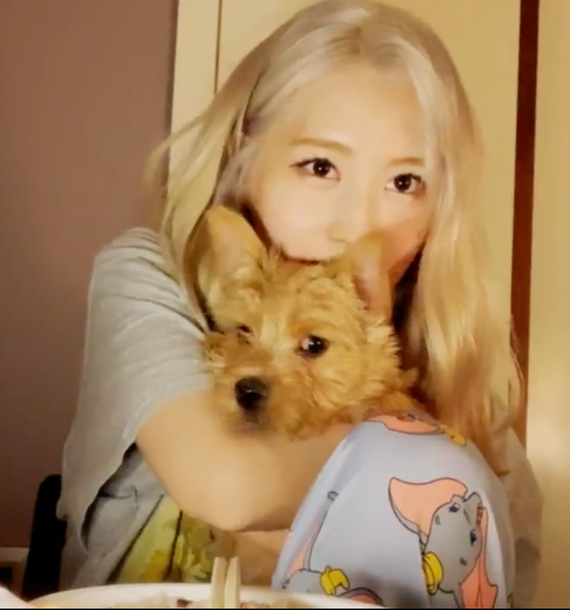 misayeon's tweet photo. Momo brought Boo onto her vlive! 😭😭💕 https://t.co/mSenPjKsze
