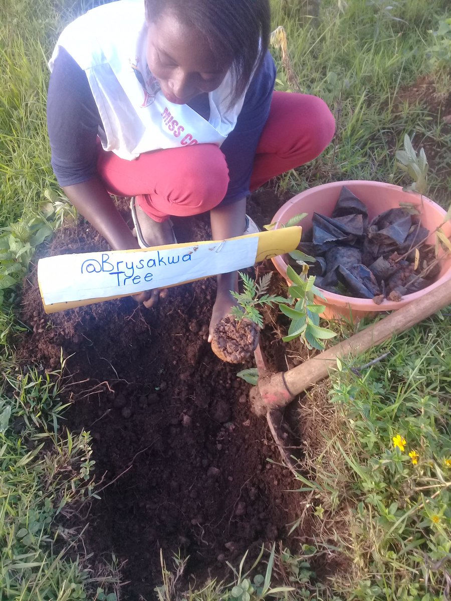 MourineAsiimwe's tweet photo. I plant a tree for every new follower.
No. 26
@Brytsakwa
This is one way you have contributed towards environmental conservation through tree planting.
#missconservationKigezi2019/20 #modelgarden
#PlantaTreePlantHopedrive
#ConservationVoicesAfrica https://t.co/H0iNE2cjYk
