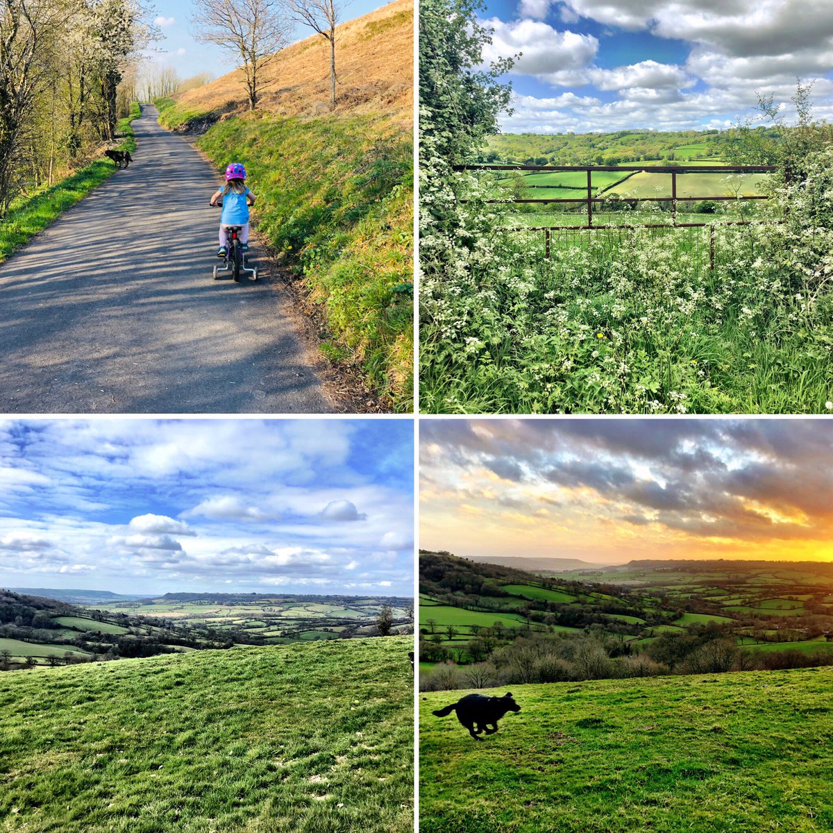 Get involved with #DevonDays2020 by sharing your images of Devon’s stunning scenery during lockdown and join us on Devon Day (4 June) to perform ‘Devon Days’ by Paul Painter - here are a few photos of <a href="/eastdevon/">East Devon District Council</a> from one of our team @Babcock_Edu   
facebook.com/47443063261984…