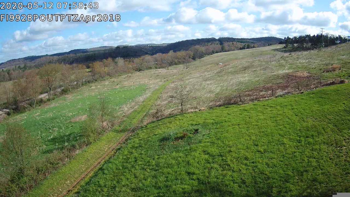 arwmd's tweet photo. A view from my farm house camera just now. What a beautiful day.
#virtualisolation
Rural Pennsylvania is so beautiful. https://t.co/b8mDsZZGJQ