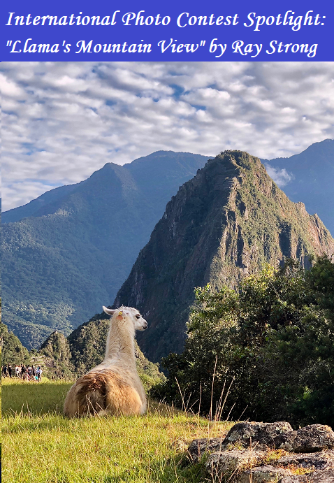 “Our early morning hike at Machu Picchu, Peru, was a special time, with the clouds rolling in and shafts of sunlight peeking through, accentuating different views of the mountain top and the valley below. As the sun rose...” Read more @ instagram.com/uncastudyabroa…