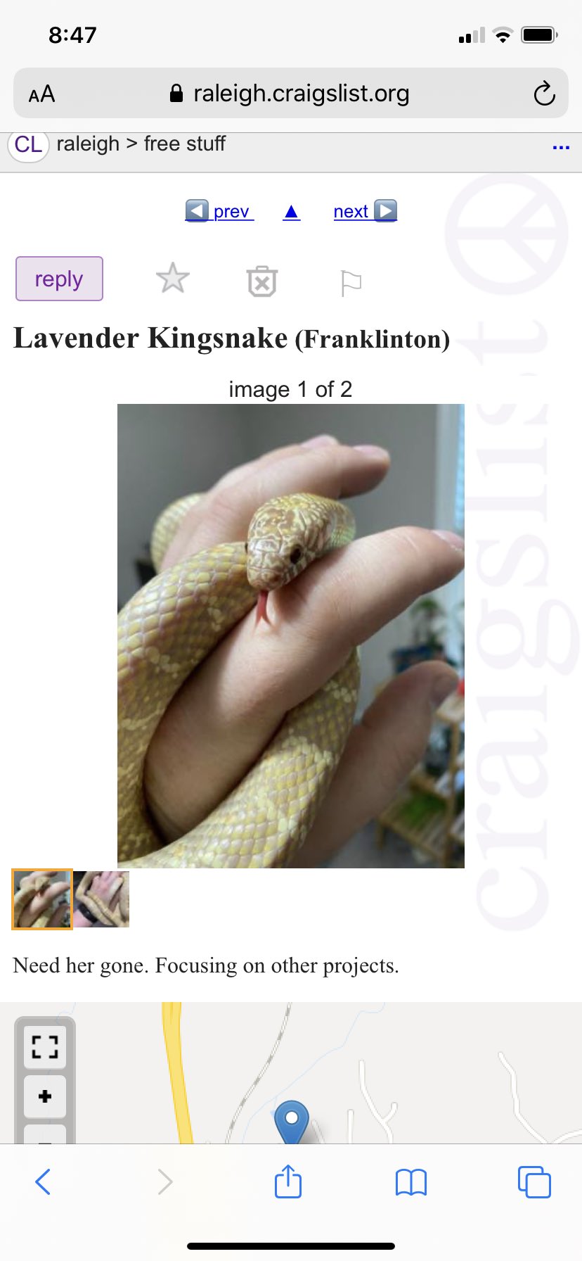 Antonia On Twitter Starting A Thread Of The Bonkers Things People Put On Facebook Marketplace And Craigslist Rip To The Post About A Fern That Was Smaller Than The Rest There Was