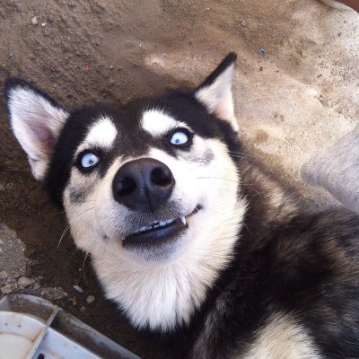 Sam E-Light tweet media