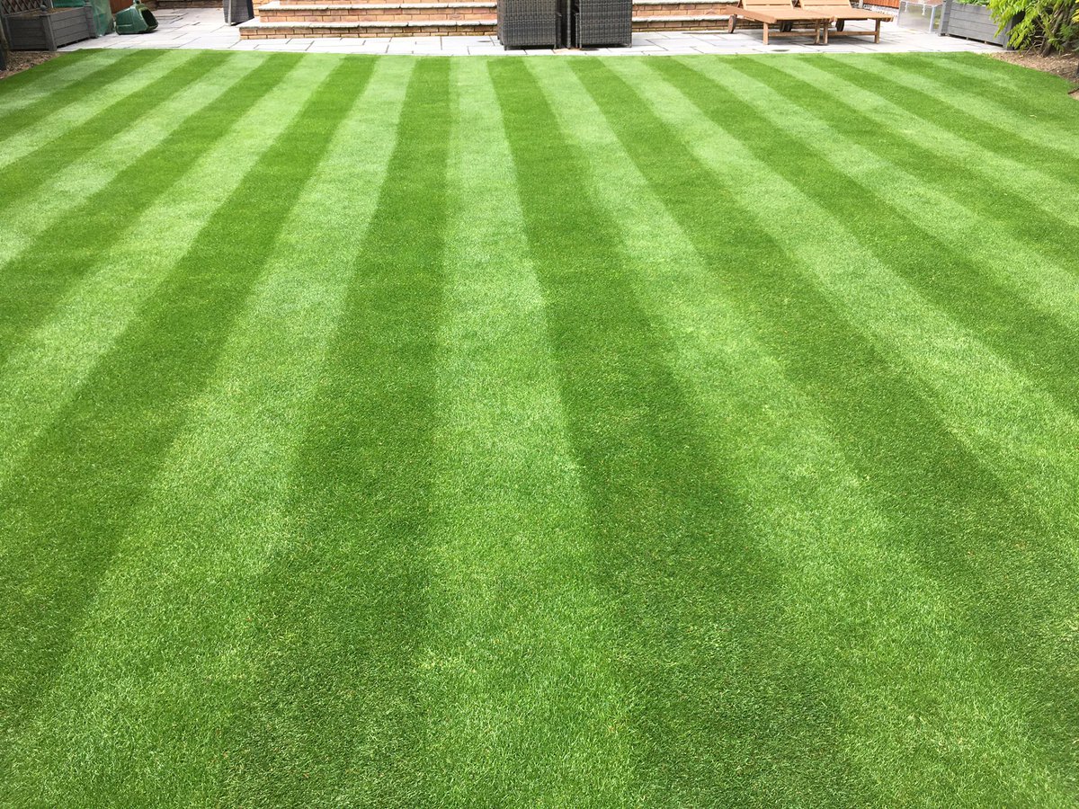 PukkaTurf's tweet photo. Job i did at Christmas 2019, after to primo maxx apps and high n and sbp 20-20-8 since March and Instrata Elite on Friday just gone, https://t.co/OtNz33XNbc