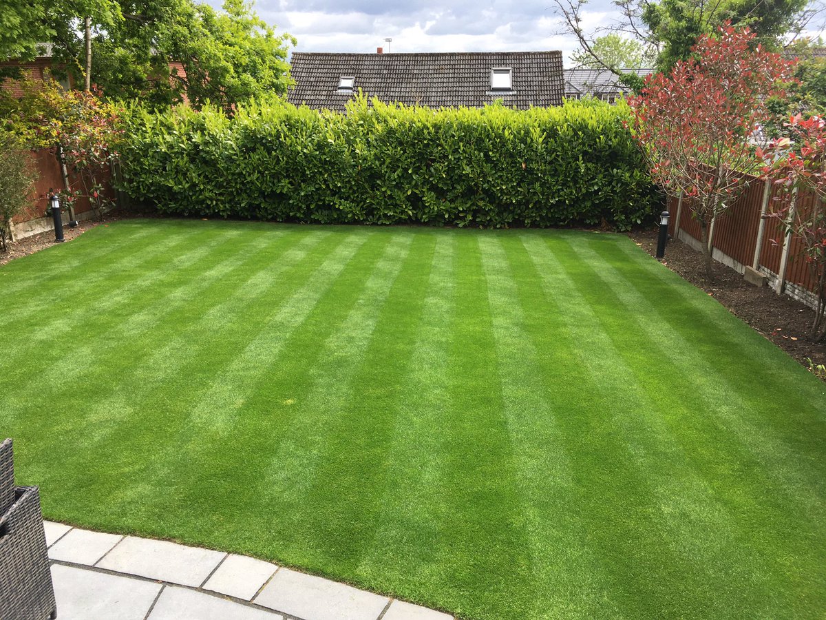 PukkaTurf's tweet photo. Job i did at Christmas 2019, after to primo maxx apps and high n and sbp 20-20-8 since March and Instrata Elite on Friday just gone, https://t.co/OtNz33XNbc
