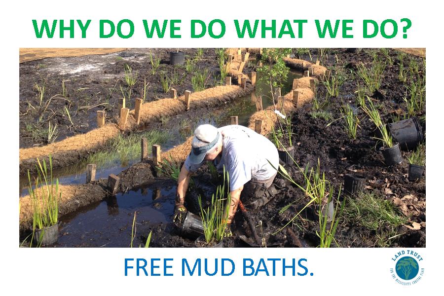 LandTrustMS tweet media