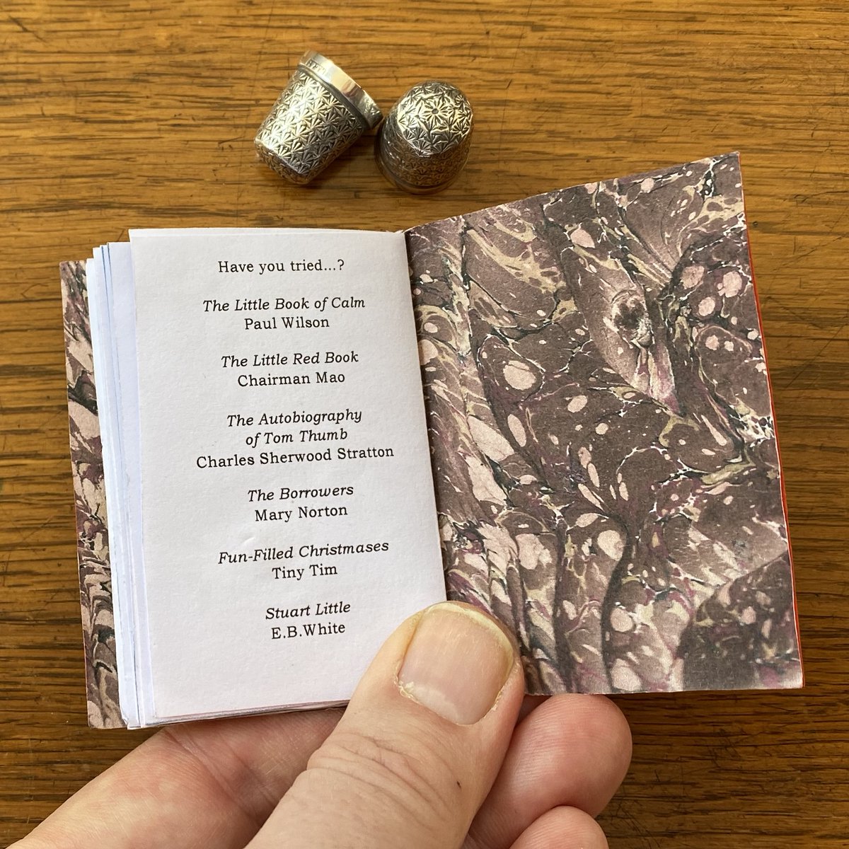 PhilipArdagh's tweet image. A number of children's authors and illustrators, including Axel Scheffler, Jacqueline Wilson, Katherine Rundell and I, were commissioned by the @britishlibrary to create miniature 16-page books. I thought it was important to have a strong LIBRARY connection.