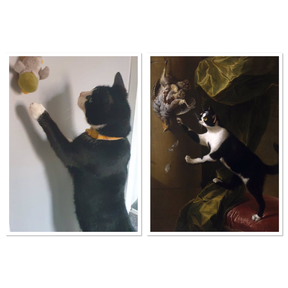 The lighting of ‘Cat with Game Bird’ by Desportes is faithfully recreated with the help of catnip and patience...  #MuseumWeek  #CultureinQuarentineMW