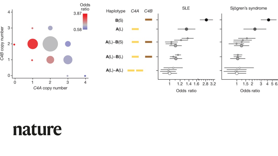 NaturePortfolio's tweet photo. A paper in Nature gives a genetic explanation behind the sex bias observed in some diseases. The findings suggest that greater abundance of an immune-related protein in men protects against lupus and Sjögren's but heightens vulnerability to schizophrenia. https://t.co/z0cBvUPnUc https://t.co/vZCVGMraBy