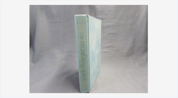 EtagereAntiques's tweet photo. The Highland Hawk by Leslie Turner White #vintage #gotvintage #vintagebook #fiction #novel #HighlandHawk #LeslieTurnerWhite https://t.co/nzb3ejG7BS https://t.co/HDfUMSSwv3