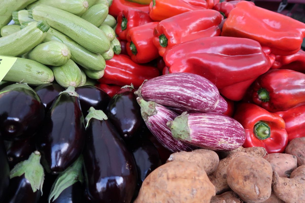📌Obrim la inscripció pels productors agroalimentaris que vulguin adherir-se a la compra pública

🍊Es comprarà fins a un 15% de la mitjana dels totals comercialitzats les campanyes anteriors 

🍆Amb <a href="/GOIB_Social/">Conselleria de Famílies, Benestar i Dependència</a> ho destinarem a entitats socials

🔗bit.ly/3dK8Uw1