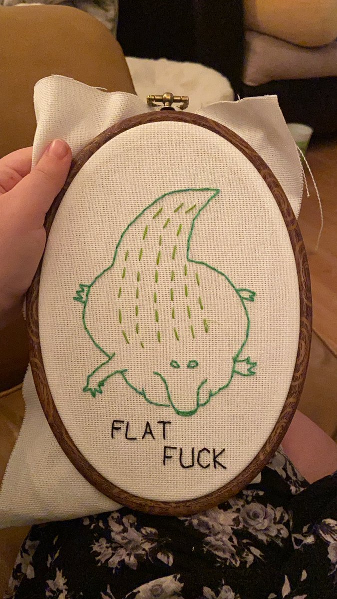 Gators Daily 🐊 tweet media