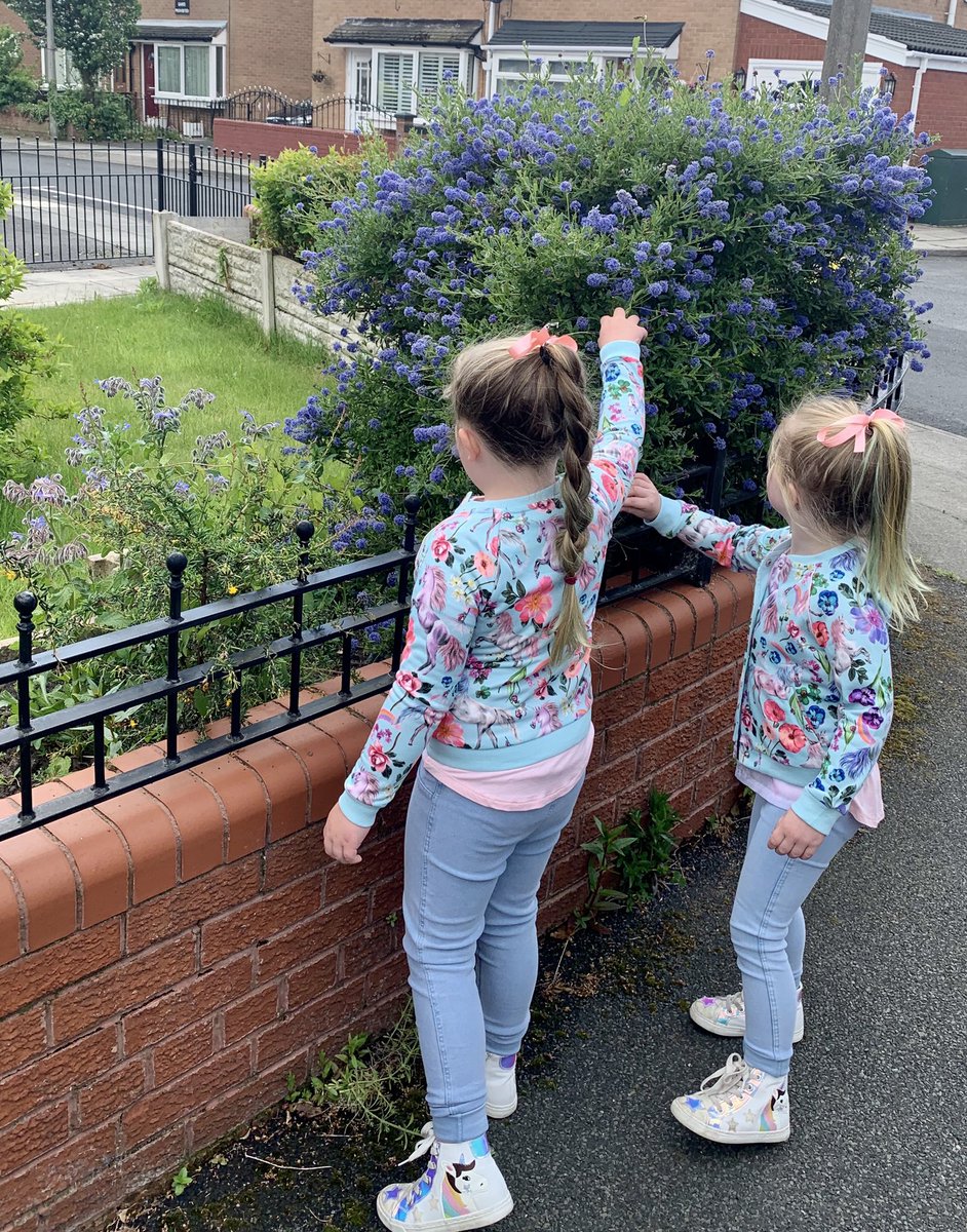 nicganno's tweet photo. @NorthcoteSch poppy &amp; Heidi been on a plant and flower hunt. We managed to find most on our sheet. 🌹🌷🌻☘️ https://t.co/y1LxemO582