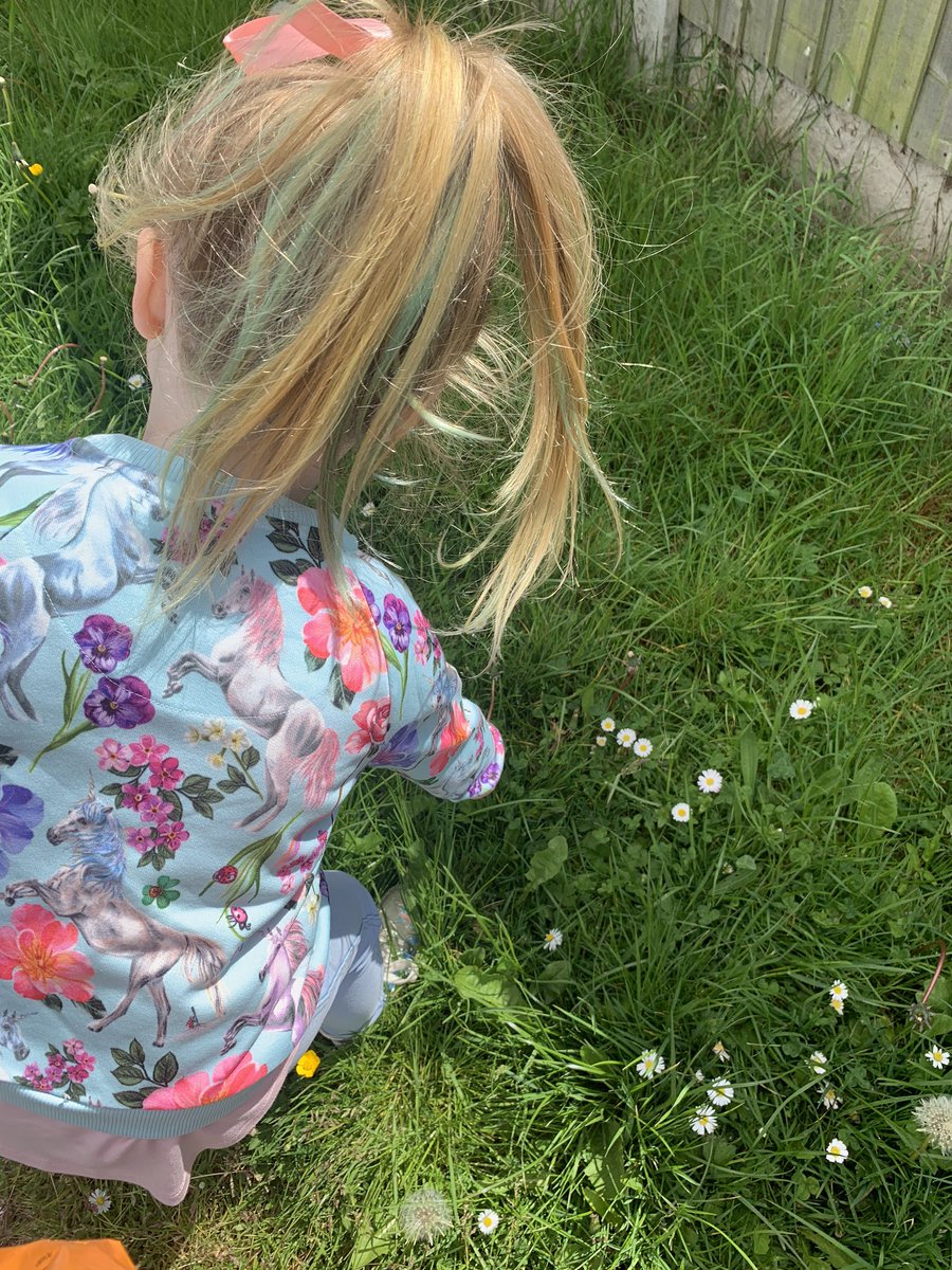nicganno's tweet photo. @NorthcoteSch poppy &amp; Heidi been on a plant and flower hunt. We managed to find most on our sheet. 🌹🌷🌻☘️ https://t.co/y1LxemO582