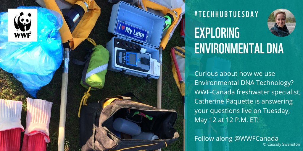 It's #TechHubTuesday! Our #freshwater specialist @cath_paquette is taking over this Twitter account LIVE at 12pm ET to explore how #EnvironmentalDNA can support conservation efforts. Got questions? Send away and tune in!