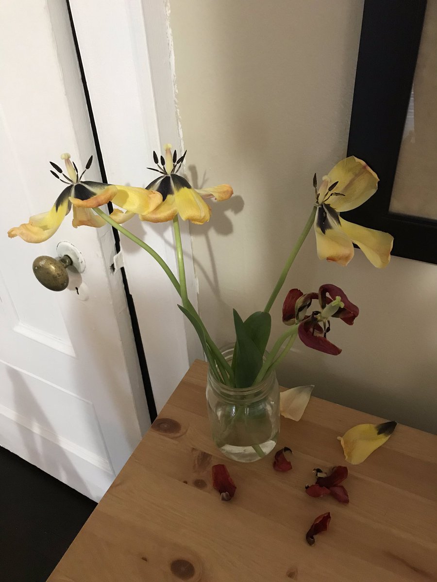 FrolicAndrea's tweet photo. #COVID19 challenge of the day: how can you keep opening to your own experience...to let in as much light and life as possible? https://t.co/NL97N0wa1J