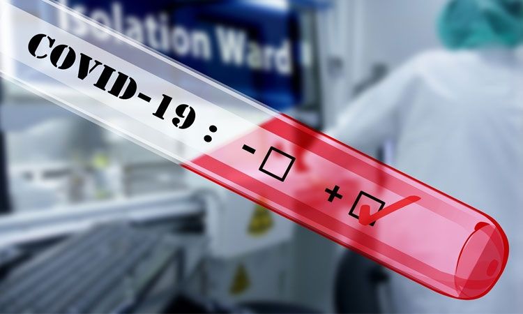 DubrovnikTimes's tweet photo. #Coronavirus Dubrovnik – Another day with no new COVID-19 cases across the #Dubrovnik – Neretva County
https://t.co/IxFUCqIDNM https://t.co/RoiWhj2O53