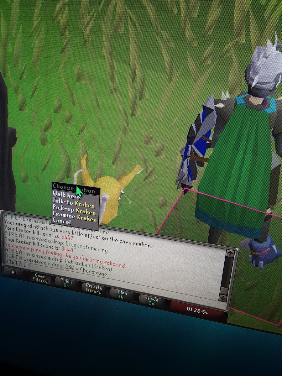 Ari41716's tweet photo. #10 kraken pet wtffff 2 pets n 2 hourrrs!!! https://t.co/05R57vPuh1