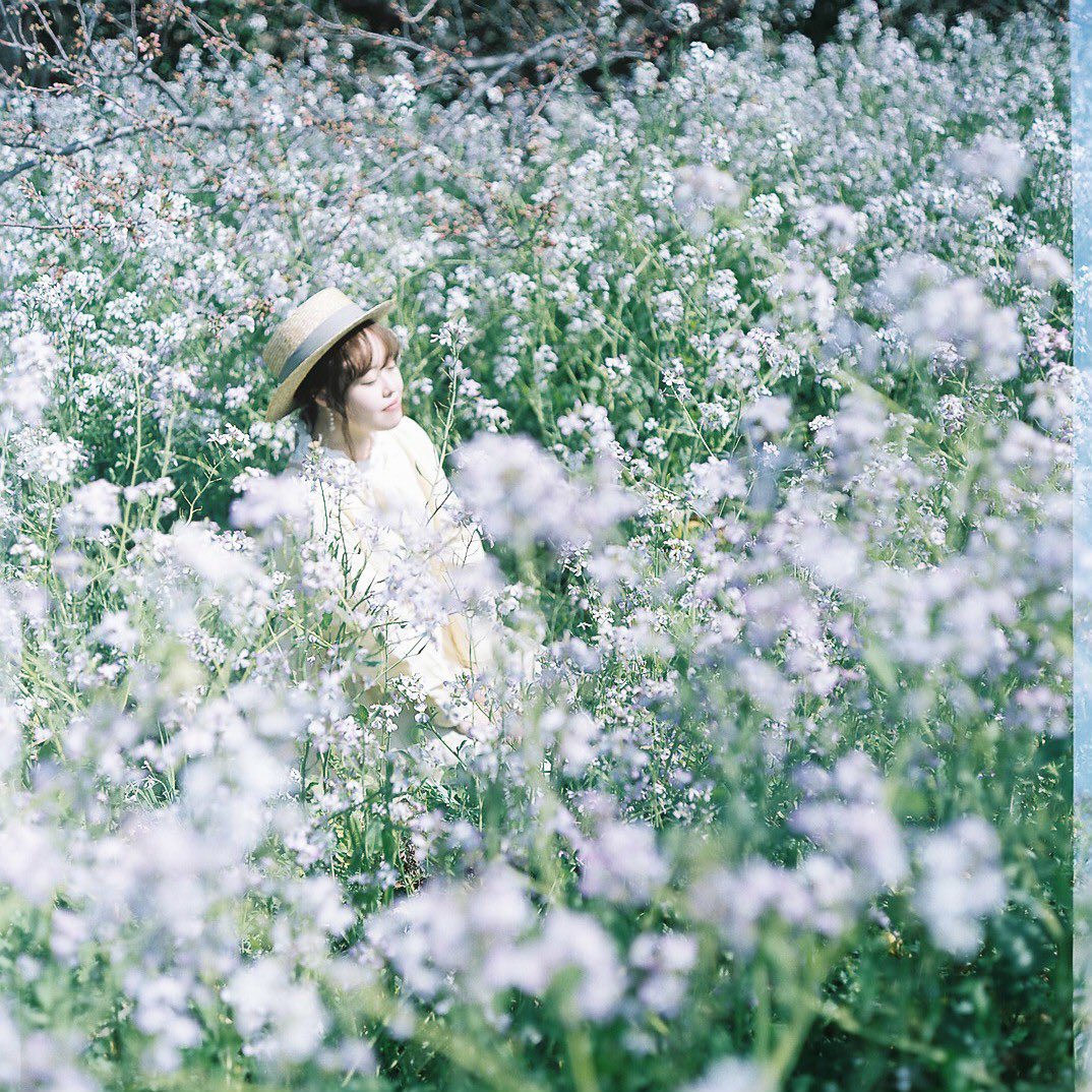 curumu27's tweet photo. 大根の花に囲まれて
#Pentconsix #Praktisix #film #フィルム #ポートレート #portrait #indy_photolife https://t.co/6QNu0r1WXb