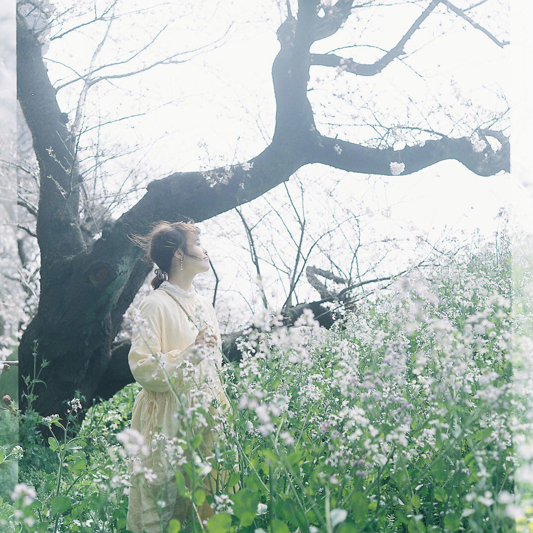 curumu27's tweet photo. 大根の花に囲まれて
#Pentconsix #Praktisix #film #フィルム #ポートレート #portrait #indy_photolife https://t.co/6QNu0r1WXb