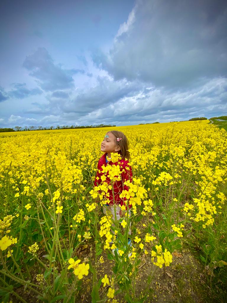 frankhasselriis's tweet photo. My daughter in a Danish rapeseed field. 🇩🇰 😊
#danmark #raps #rapsmark #midtogvestjylland #rapeseed https://t.co/IanwAr6wWt